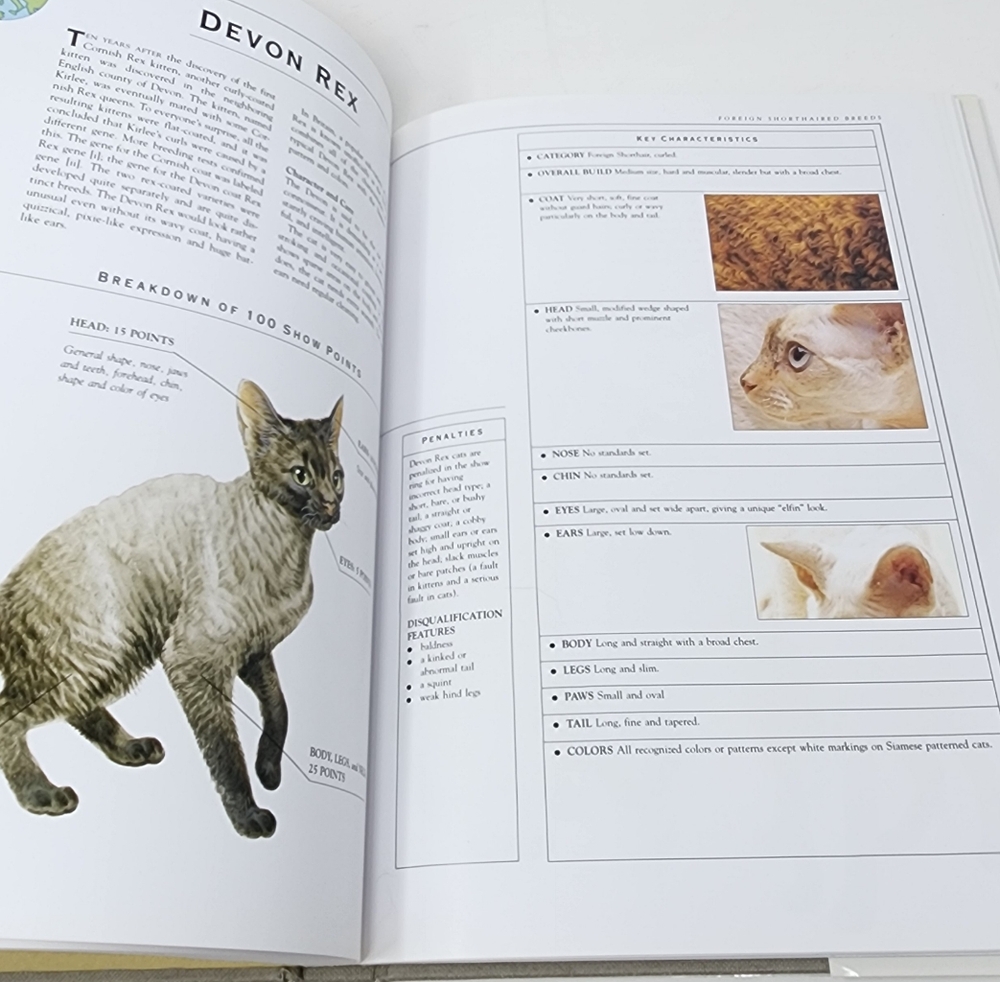 The Illustrated Encyclopedia of Cat‎ Breeds" by Angela Rixon - Picture 6 of 14